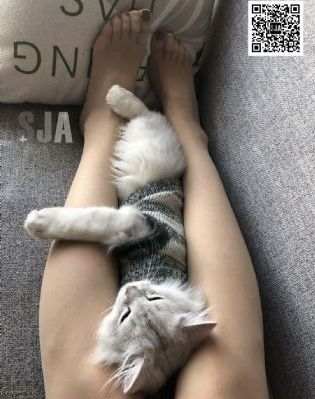 欧美69式互添视频在线